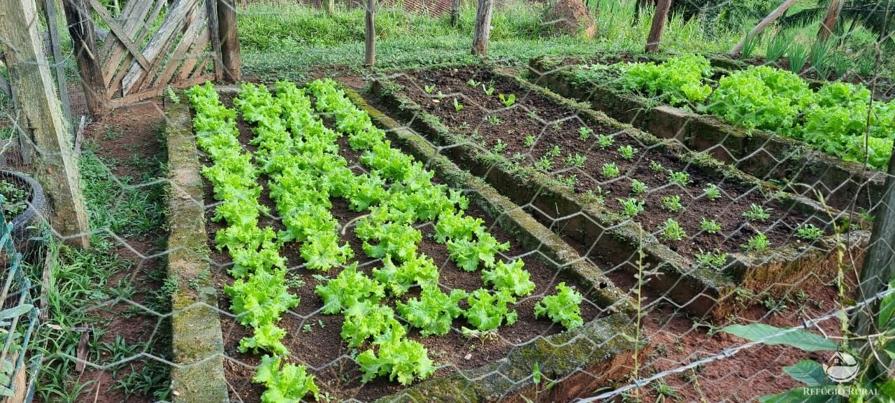 Fazenda à venda com 5 quartos, 7000m² - Foto 9