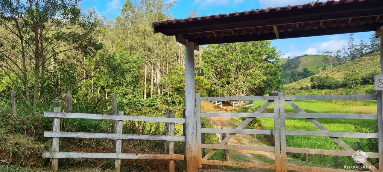 Fazenda à venda com 5 quartos, 7000m² - Foto 7