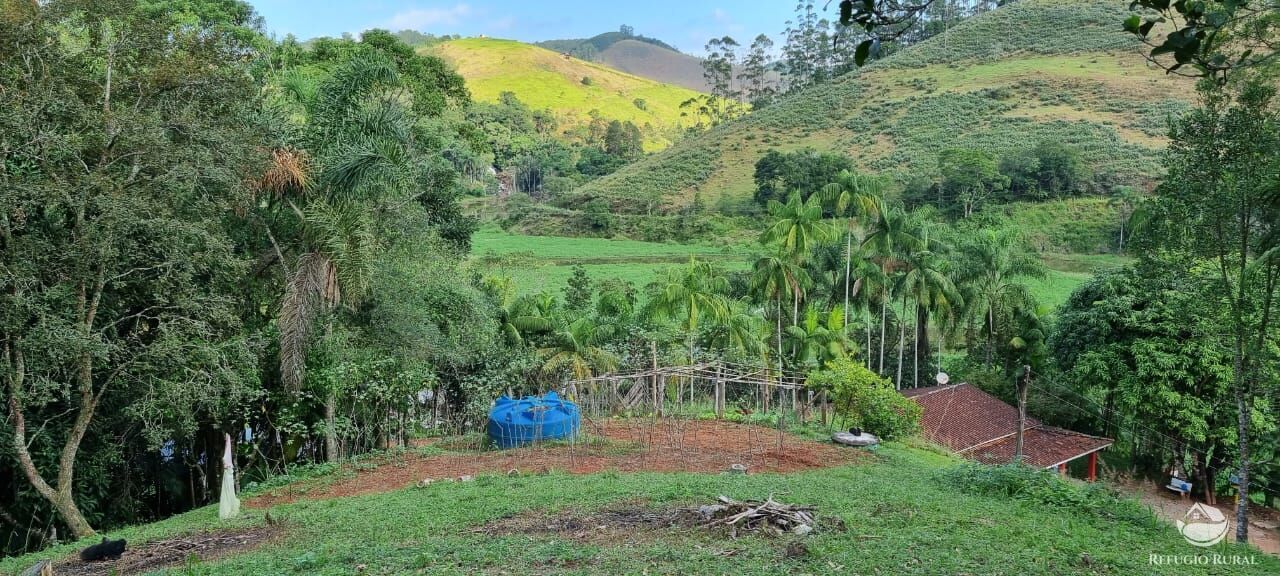 Fazenda à venda com 5 quartos, 7000m² - Foto 12