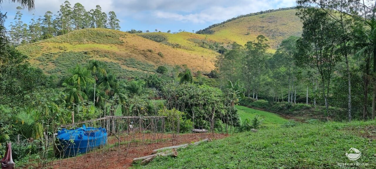 Fazenda à venda com 5 quartos, 7000m² - Foto 17