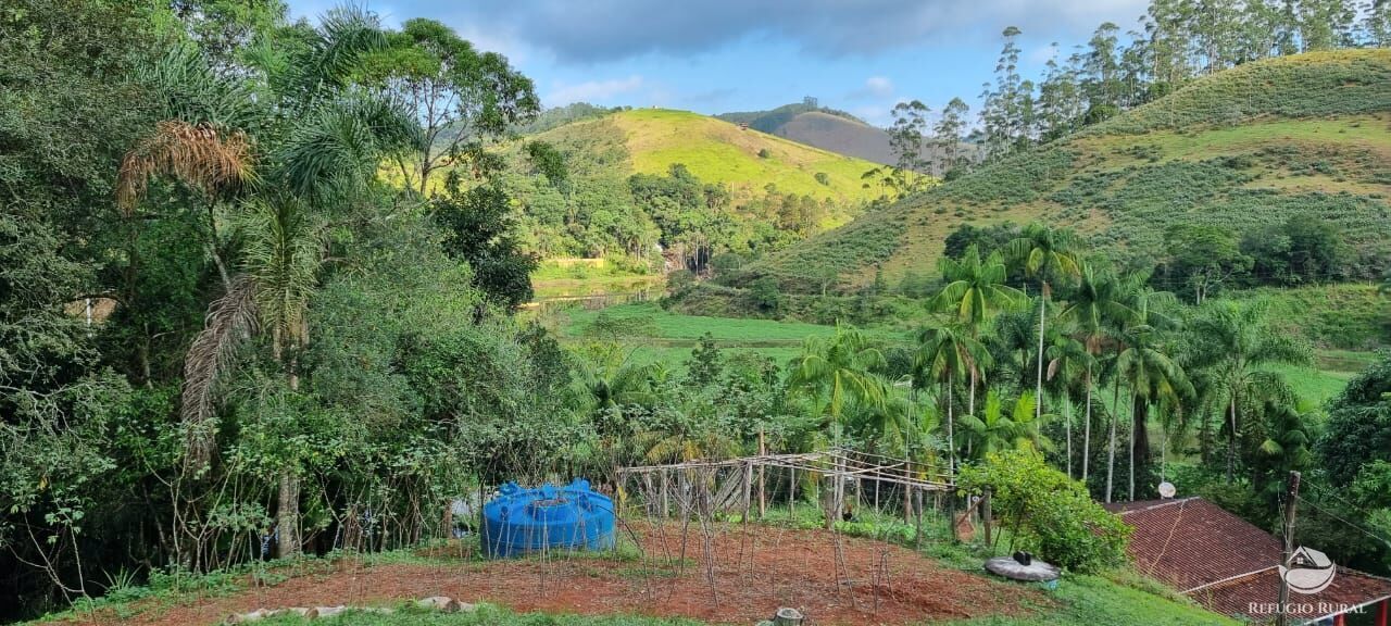 Fazenda à venda com 5 quartos, 7000m² - Foto 8