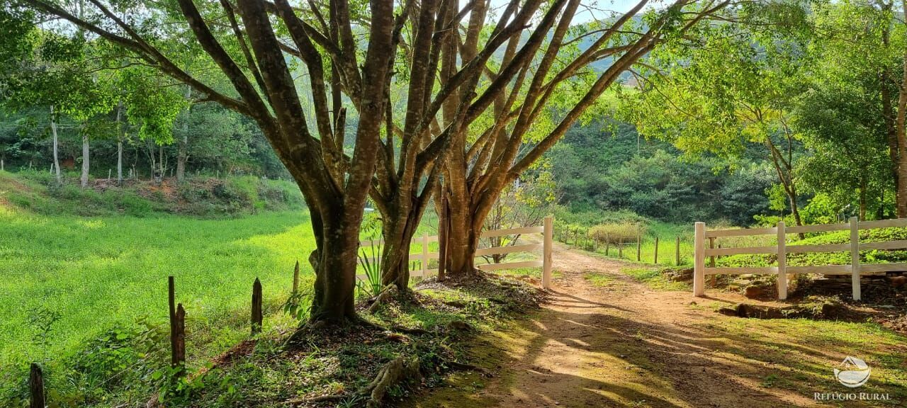 Fazenda à venda com 5 quartos, 7000m² - Foto 5