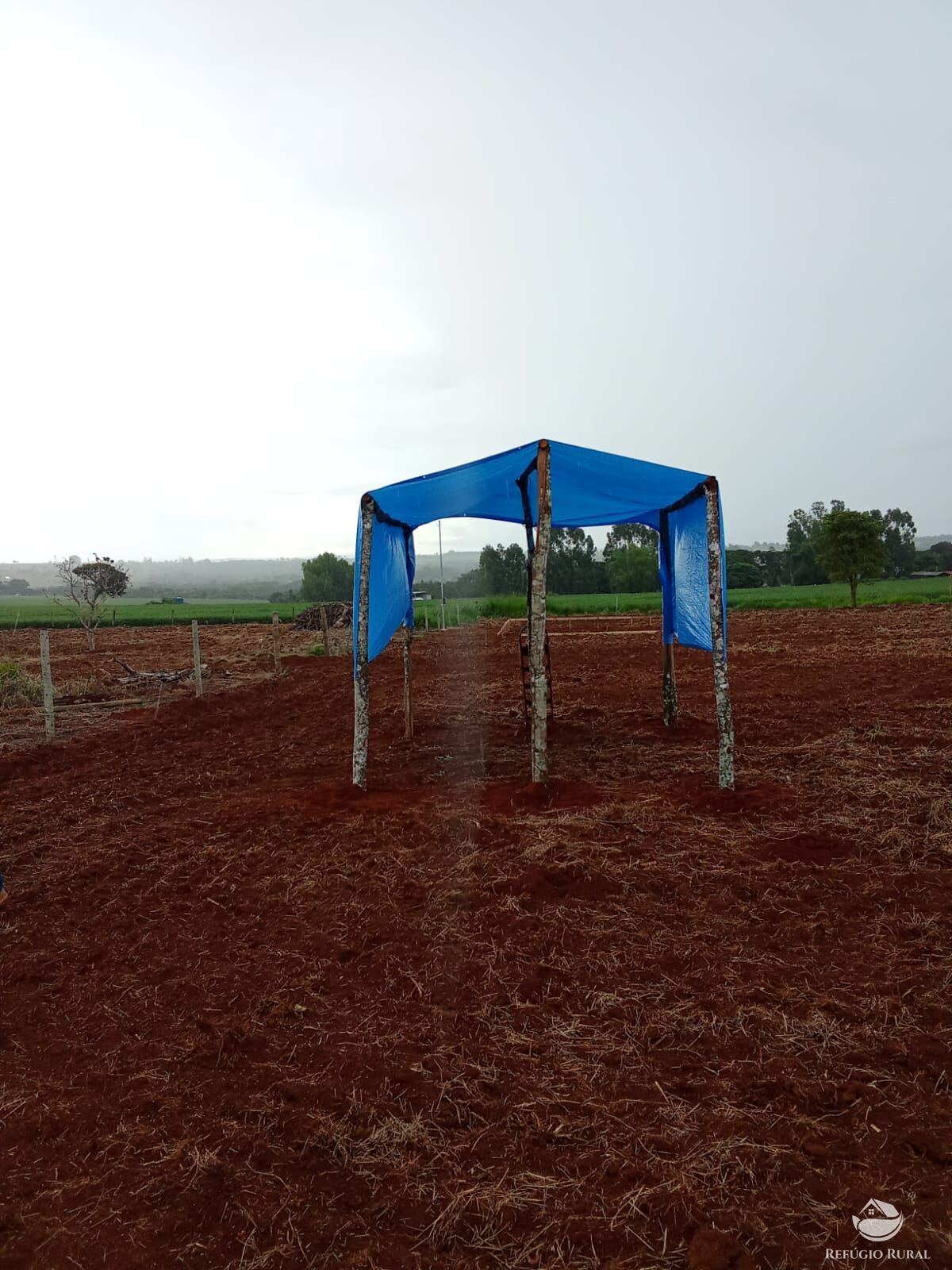 Chácara à venda com 1 quarto, 21000m² - Foto 6