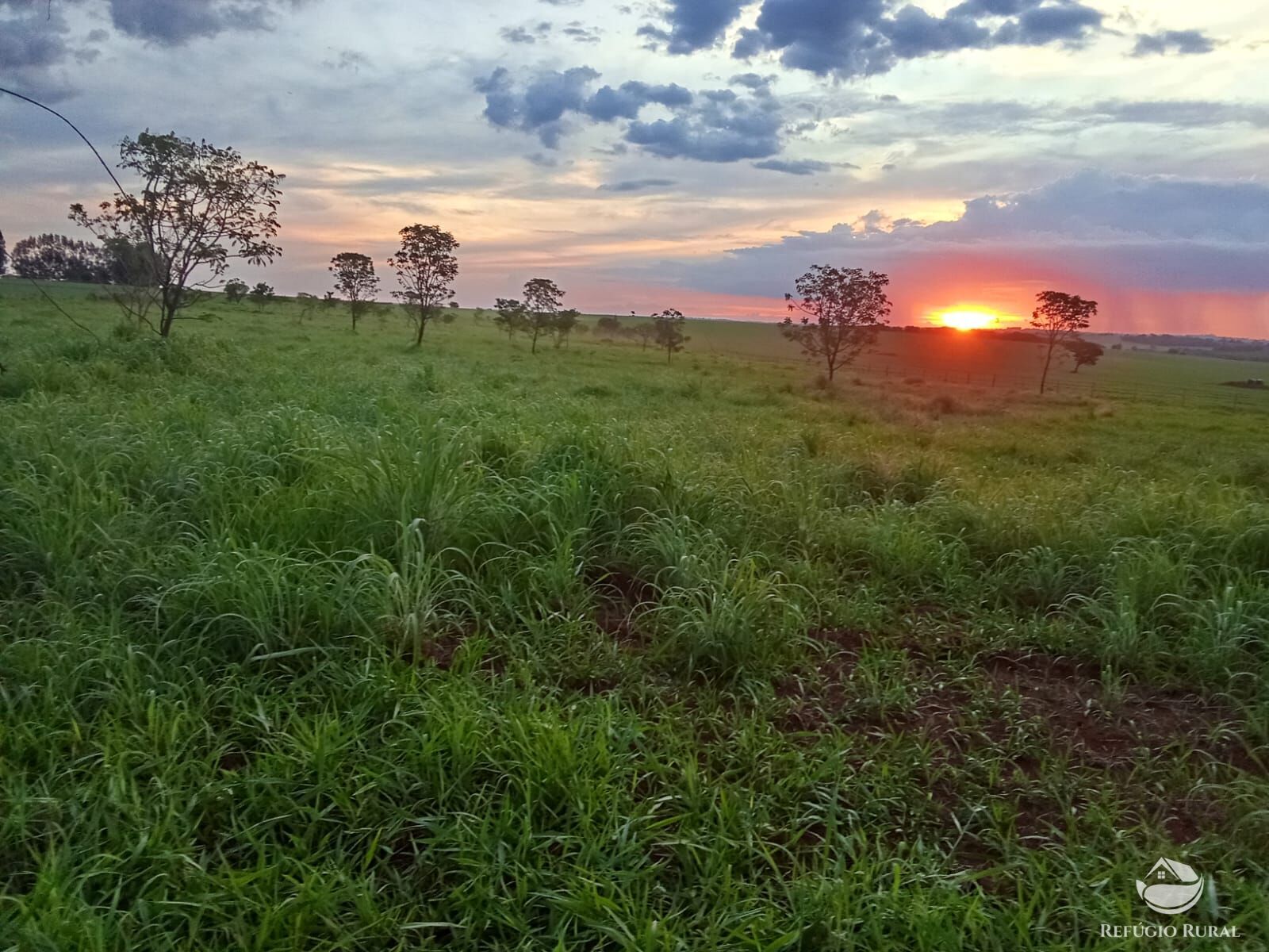 Chácara à venda com 1 quarto, 21000m² - Foto 2