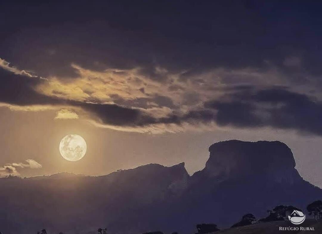 Sítio, 6 hectares - Foto 8