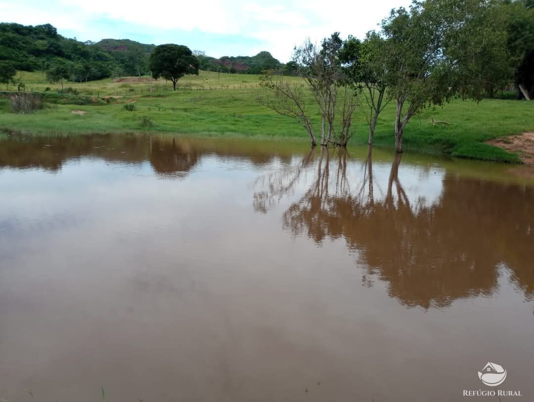 Fazenda-Sítio-Chácara, 2508 hectares - Foto 4