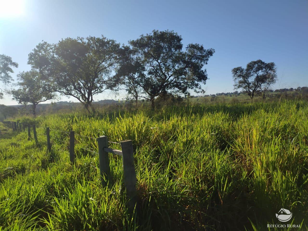 Fazenda-Sítio-Chácara, 2508 hectares - Foto 1