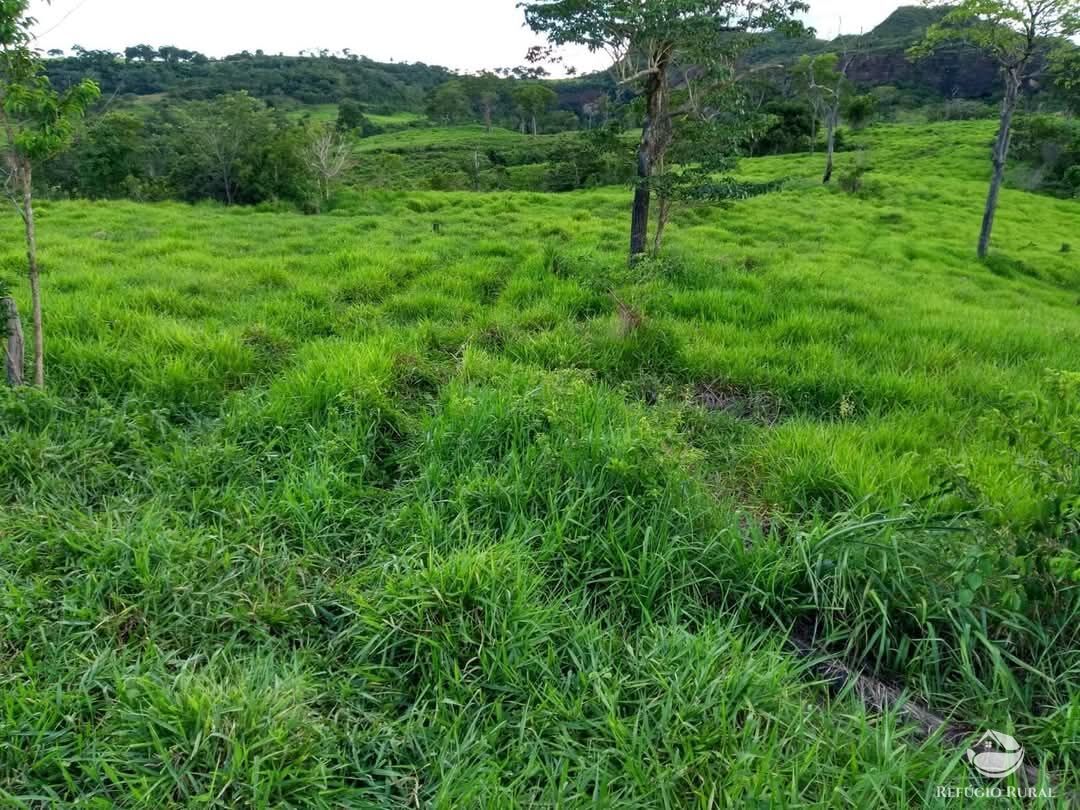 Fazenda, 2508 hectares - Foto 8