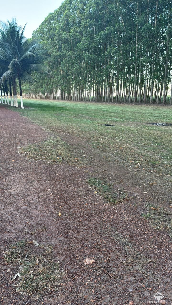 Fazenda, 15000 hectares - Foto 10