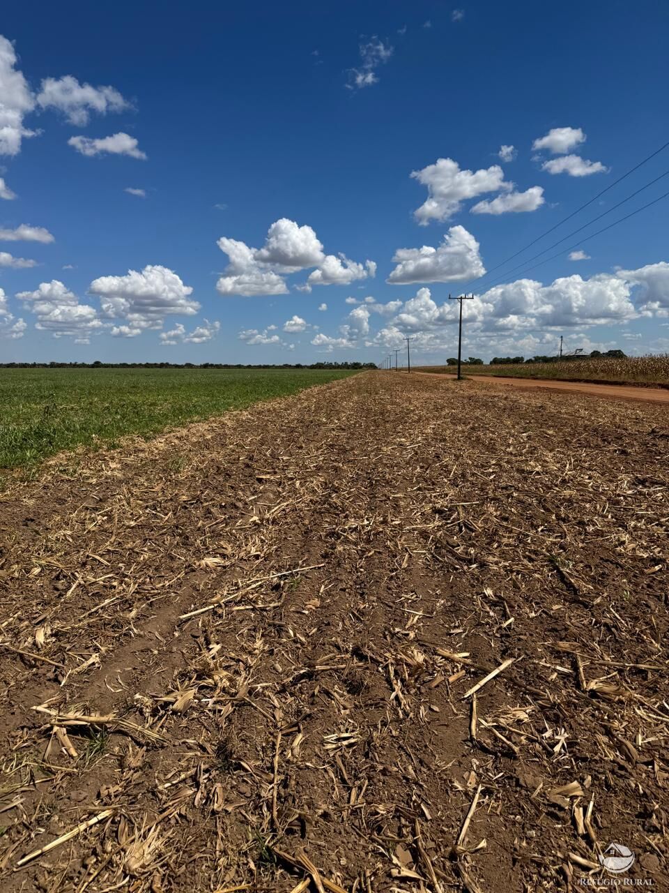 Fazenda, 15000 hectares - Foto 4