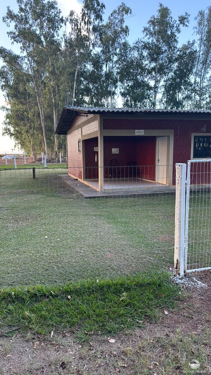 Fazenda, 15000 hectares - Foto 15
