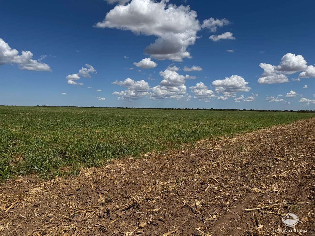 Fazenda, 15000 hectares - Foto 17
