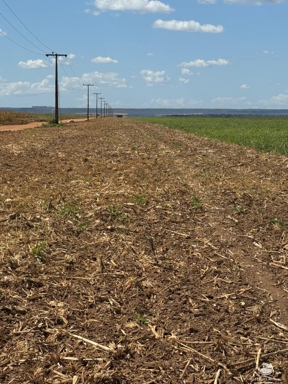 Fazenda, 15000 hectares - Foto 18