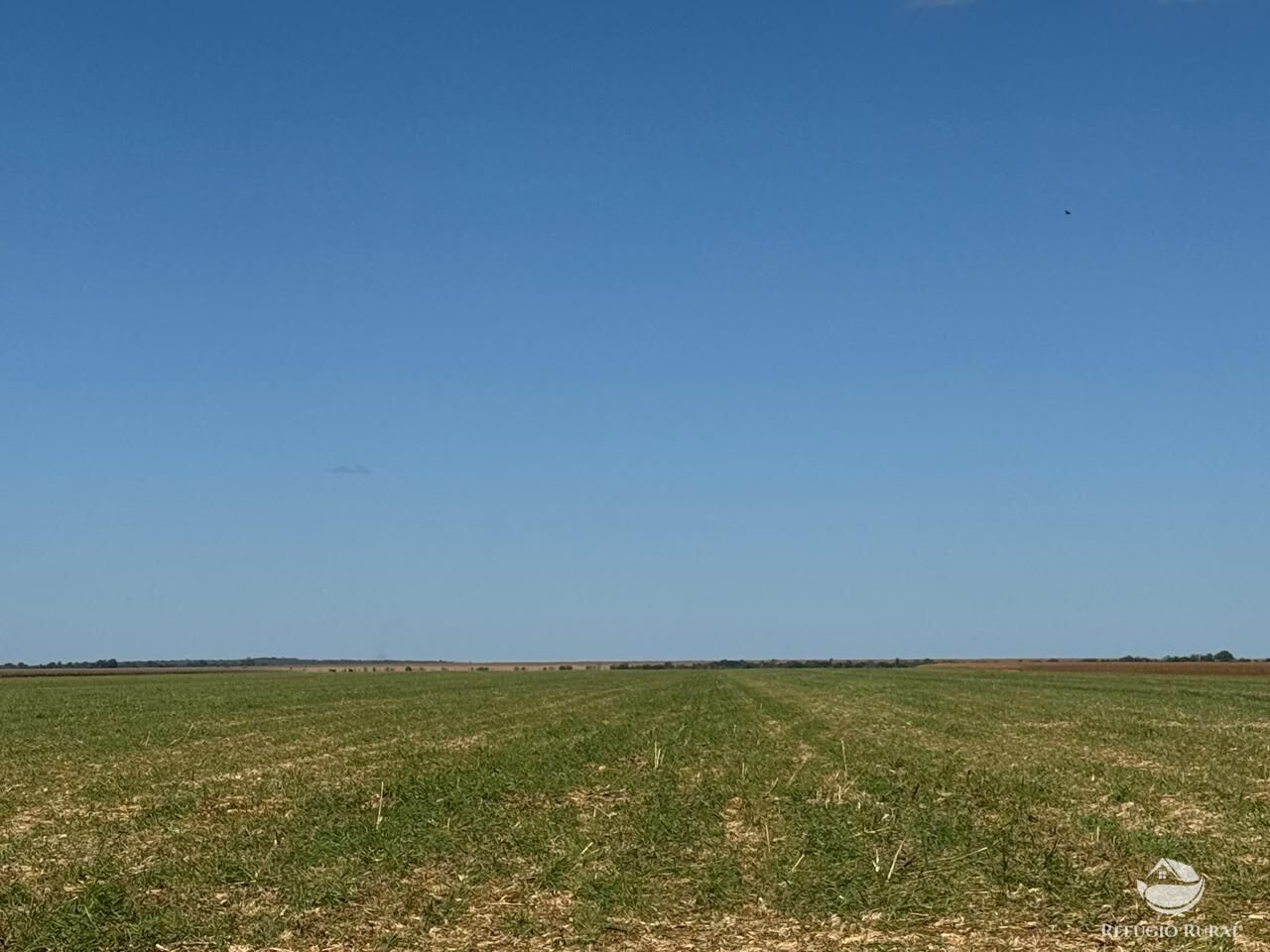 Fazenda, 15000 hectares - Foto 16