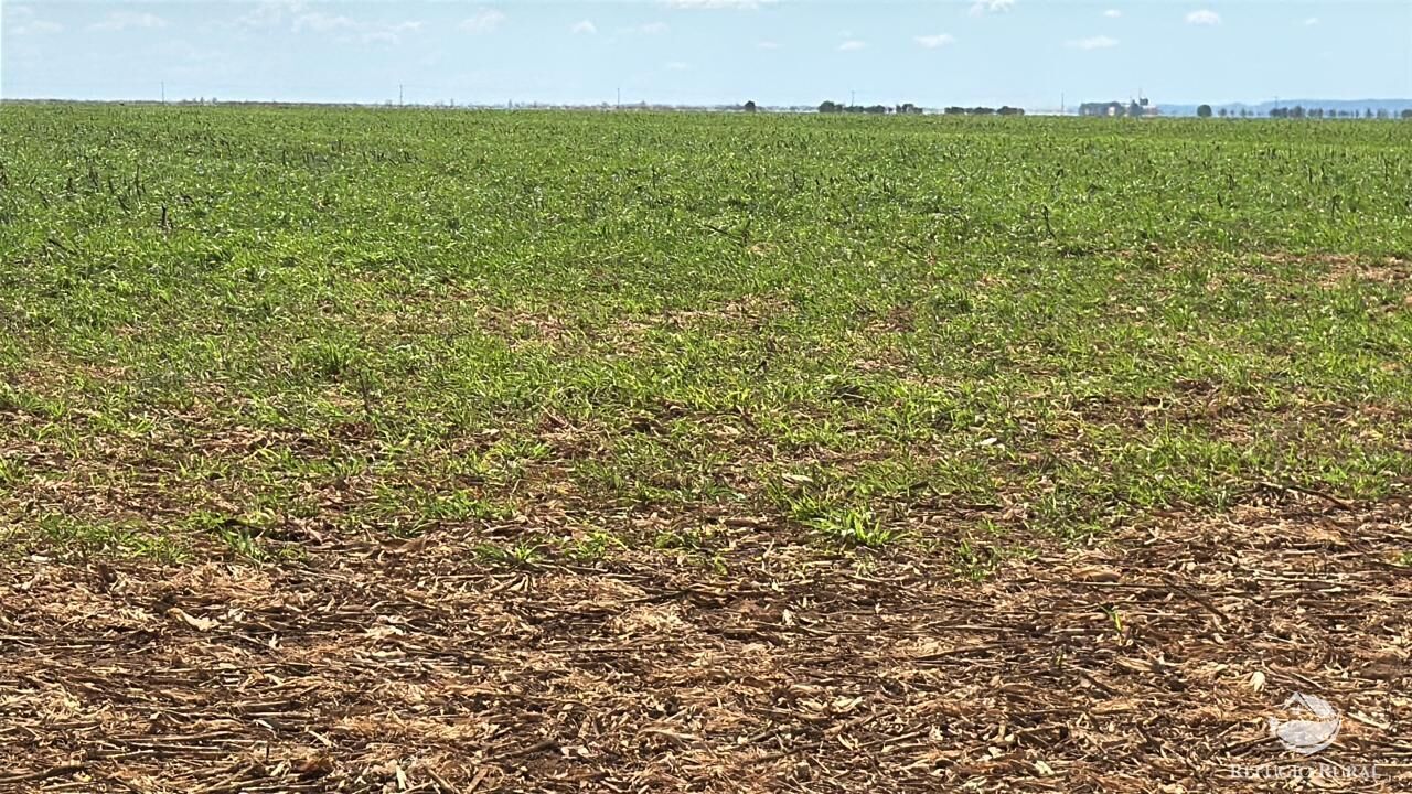 Fazenda, 15000 hectares - Foto 13