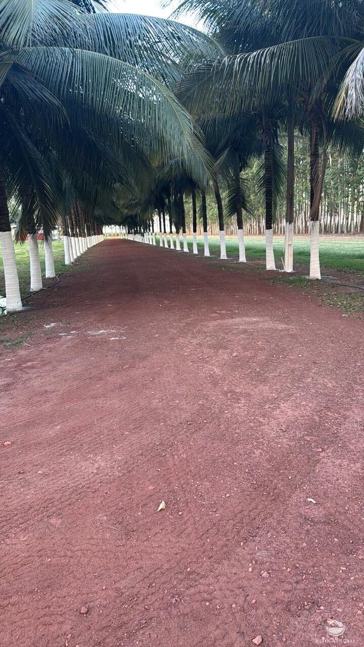 Fazenda, 15000 hectares - Foto 14
