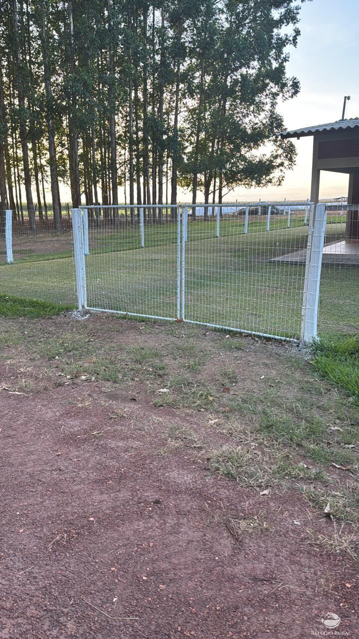 Fazenda, 15000 hectares - Foto 12