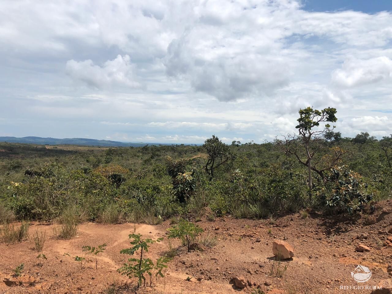 Fazenda, 528 hectares - Foto 20
