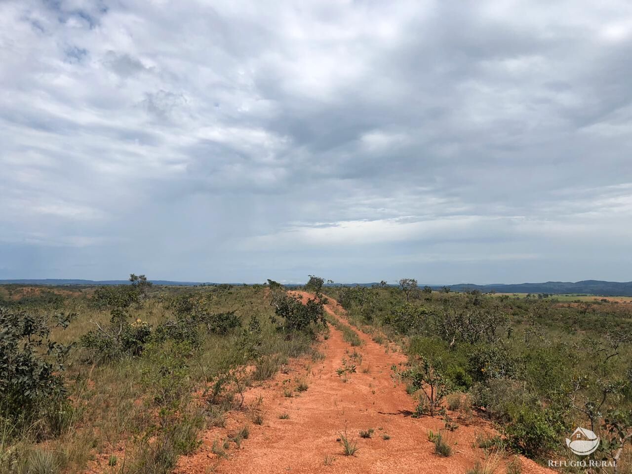 Fazenda, 528 hectares - Foto 9