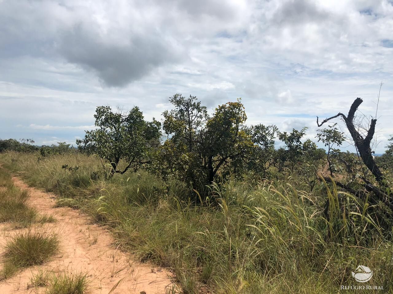 Fazenda, 528 hectares - Foto 16