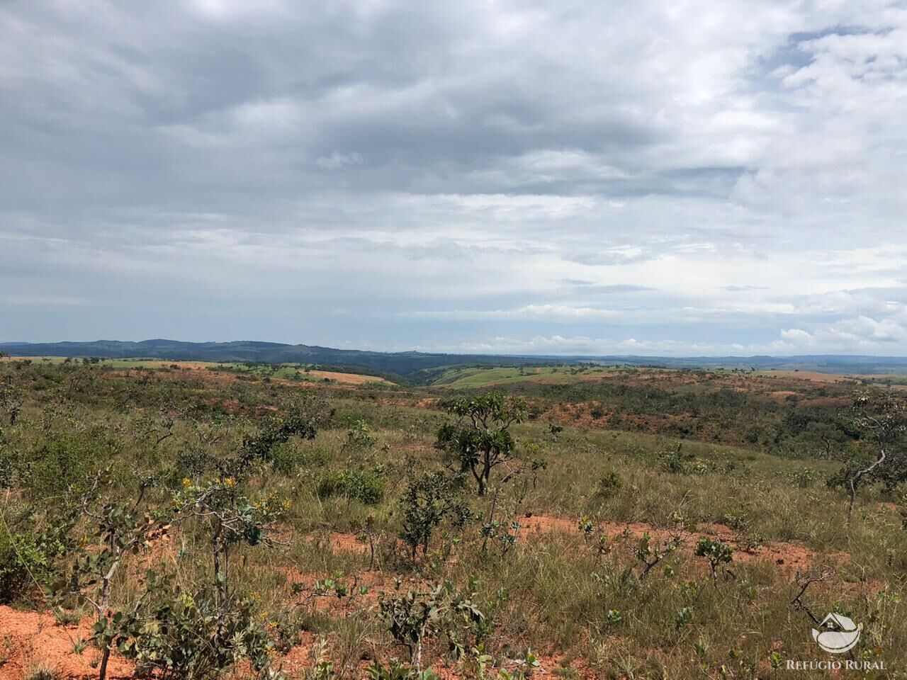 Fazenda, 528 hectares - Foto 12