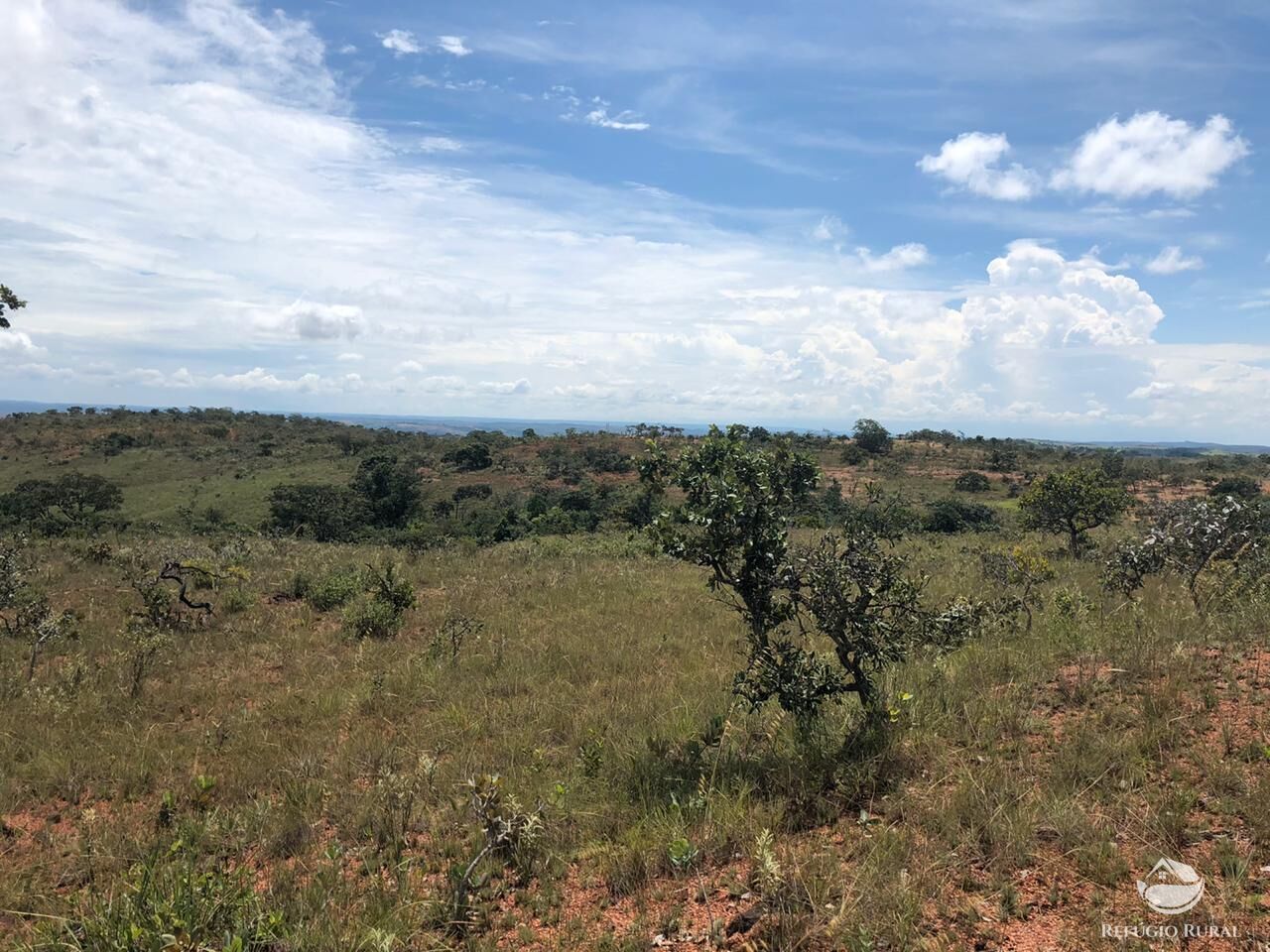 Fazenda, 528 hectares - Foto 10