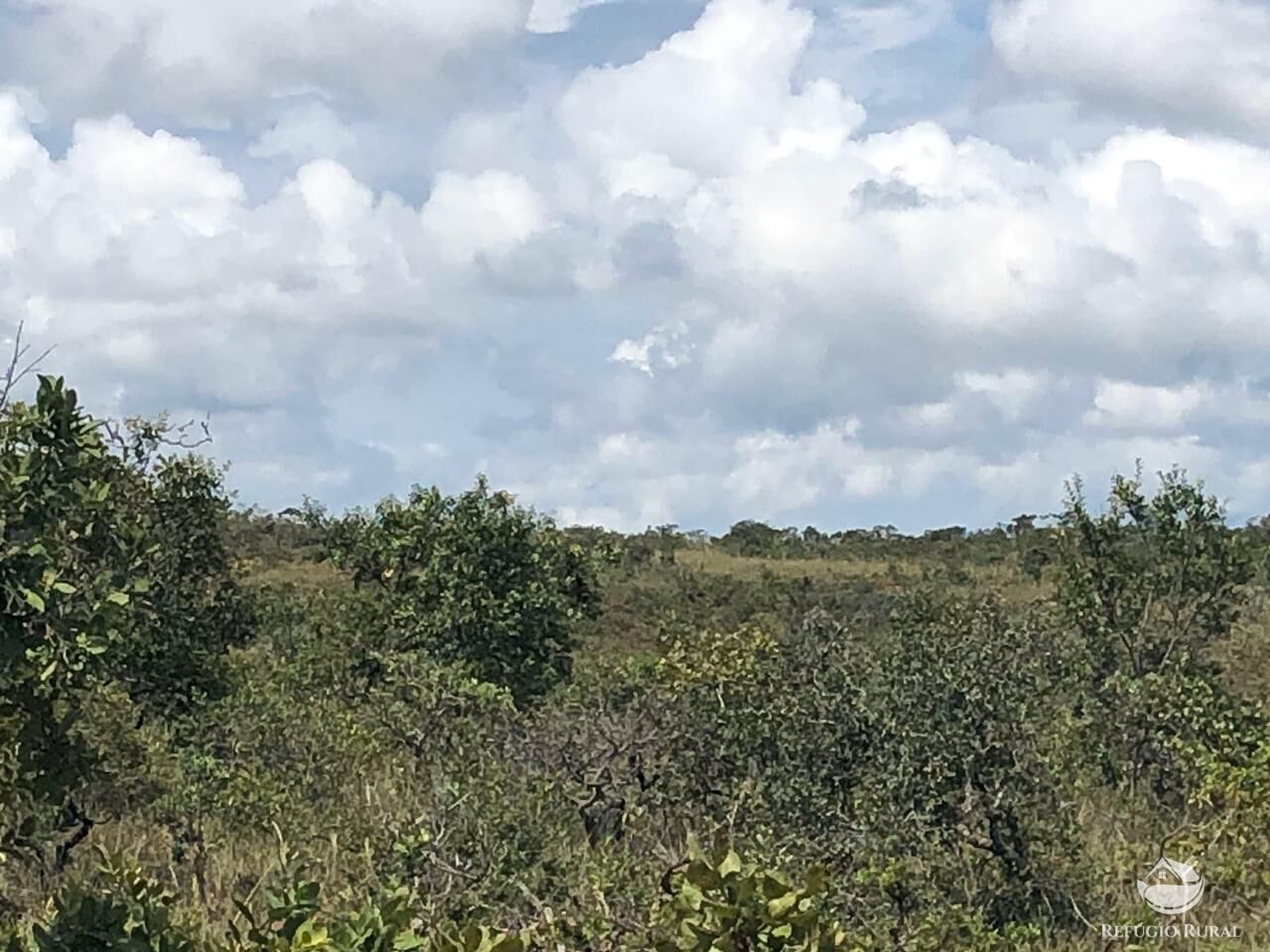 Fazenda, 528 hectares - Foto 13