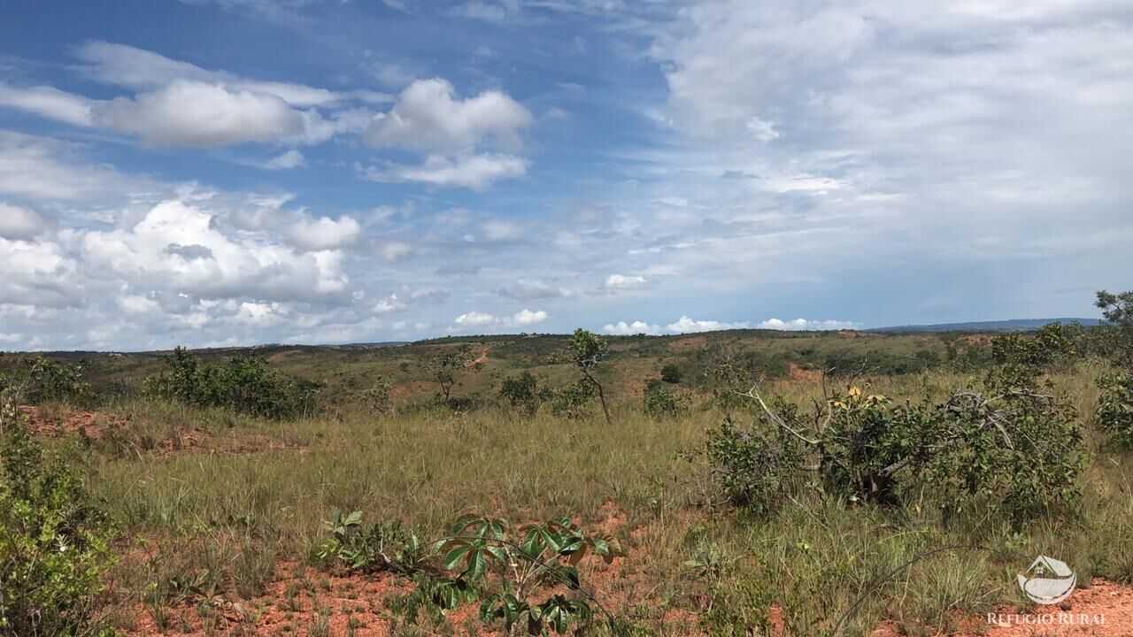 Fazenda, 528 hectares - Foto 11