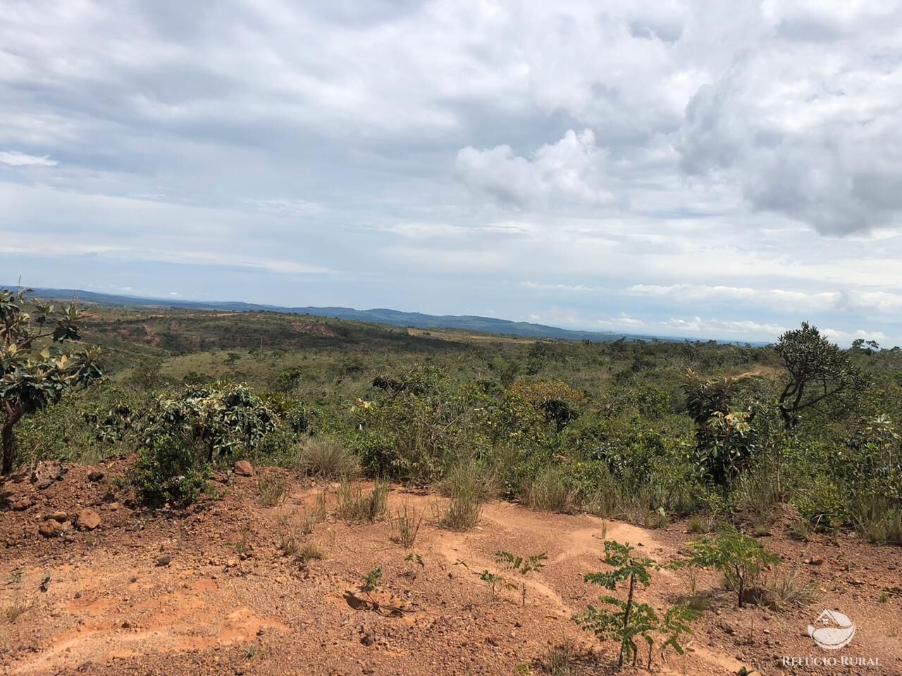 Fazenda, 528 hectares - Foto 18