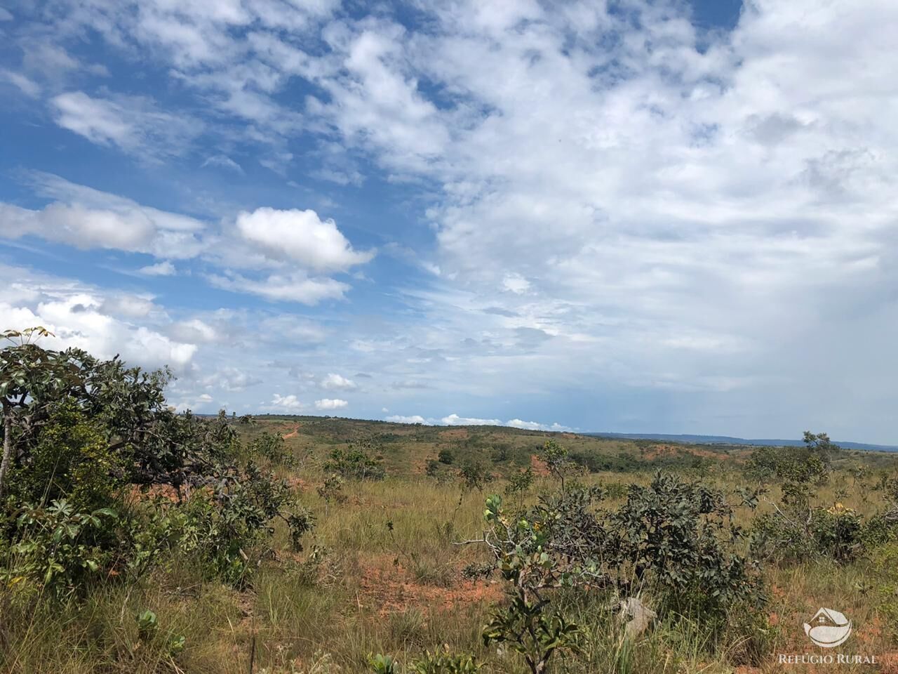 Fazenda, 528 hectares - Foto 7