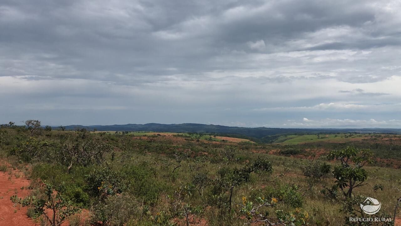 Fazenda, 528 hectares - Foto 8