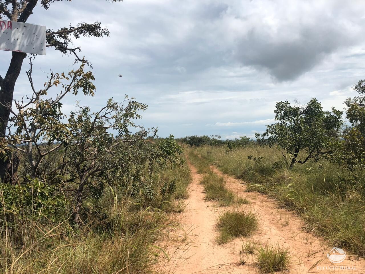 Fazenda, 528 hectares - Foto 22