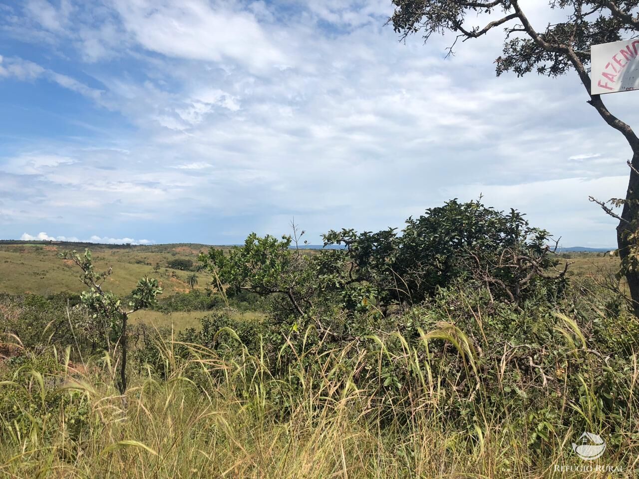 Fazenda, 528 hectares - Foto 17
