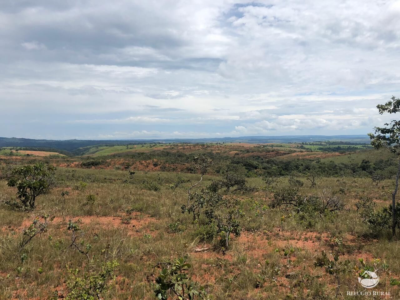 Fazenda, 528 hectares - Foto 6