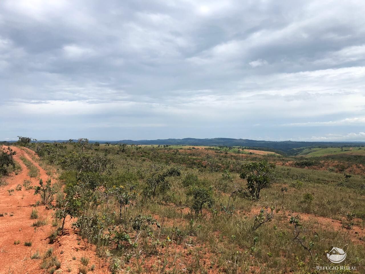 Fazenda, 528 hectares - Foto 5
