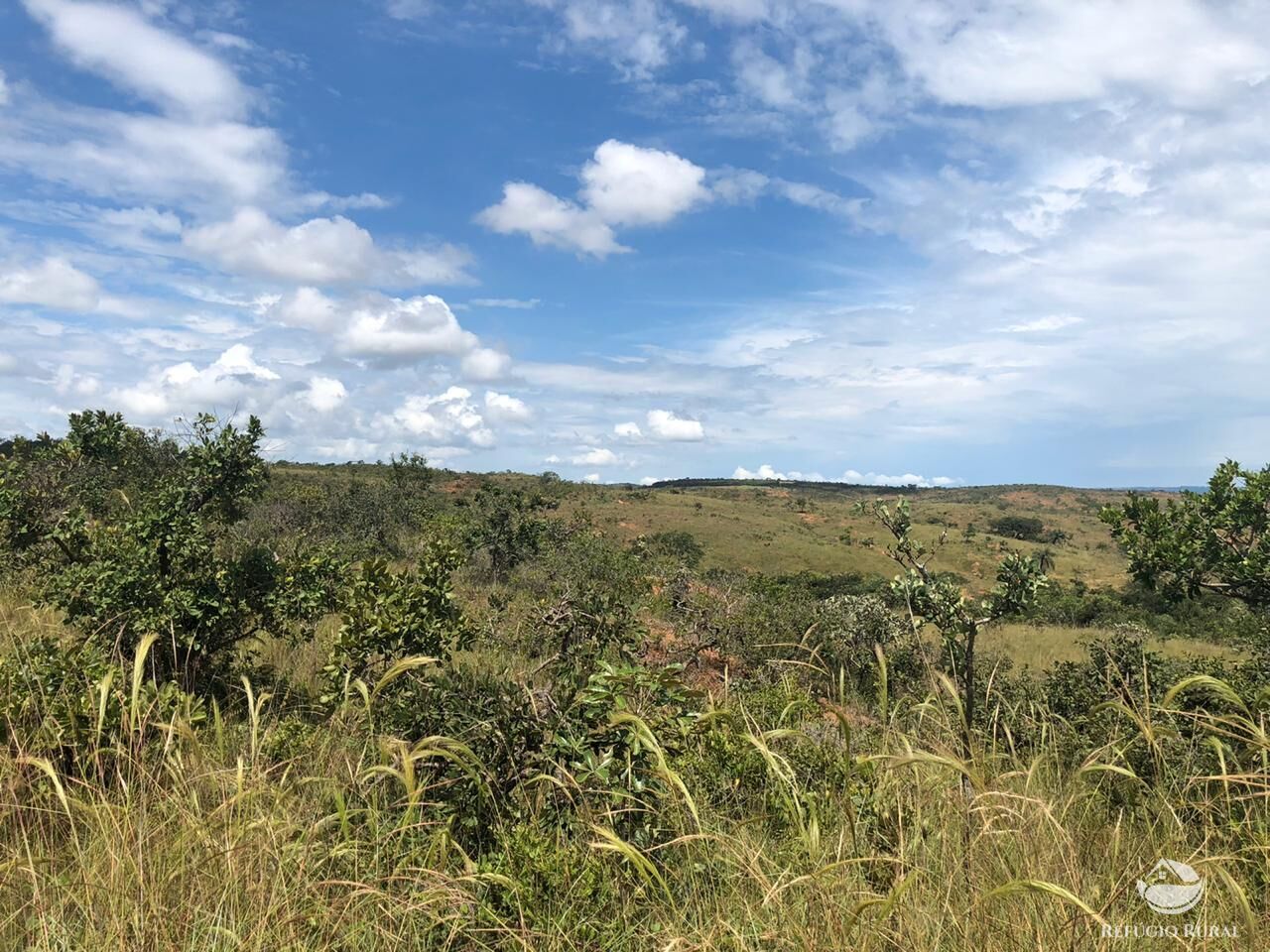 Fazenda, 528 hectares - Foto 15