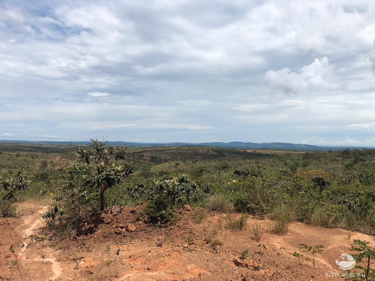 Fazenda, 528 hectares - Foto 21