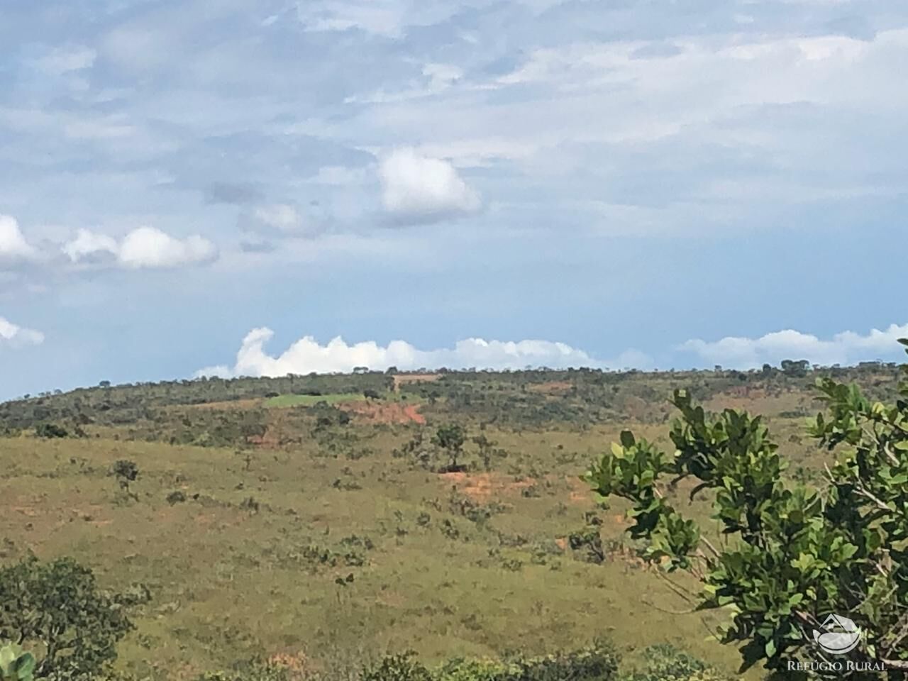 Fazenda, 528 hectares - Foto 19