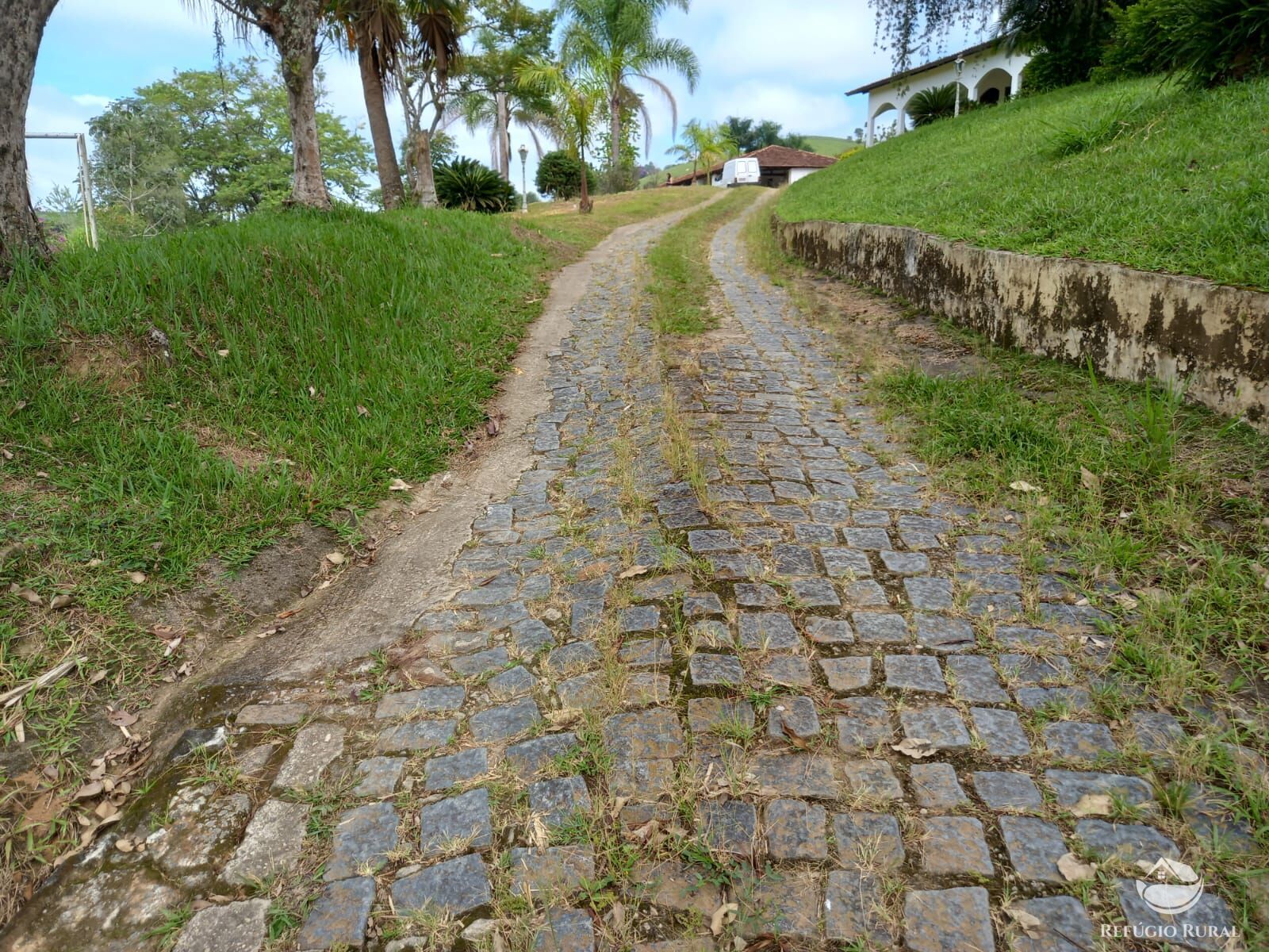 Fazenda à venda com 3 quartos, 125000m² - Foto 13