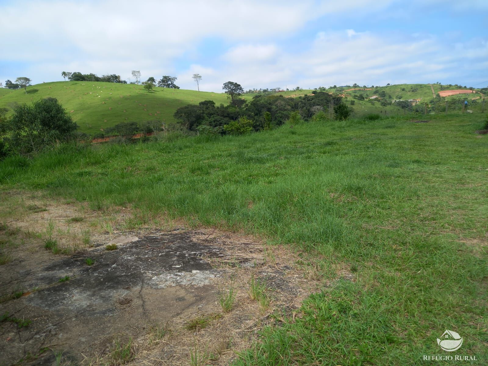 Fazenda à venda com 3 quartos, 125000m² - Foto 6