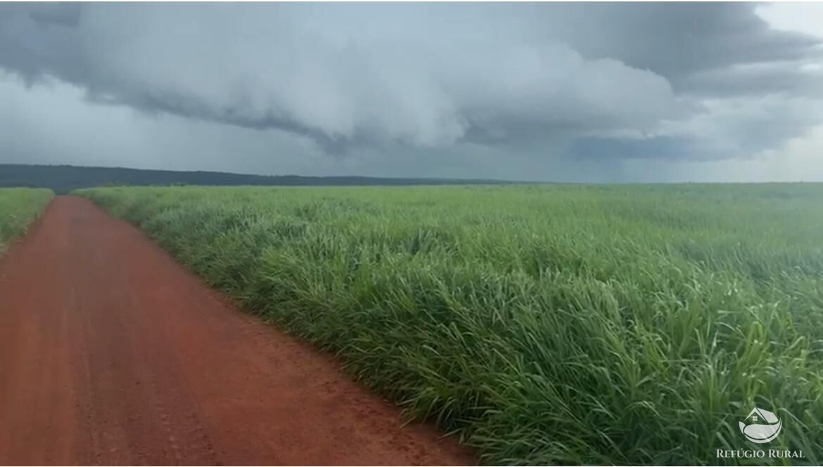 Fazenda, 10400 hectares - Foto 4