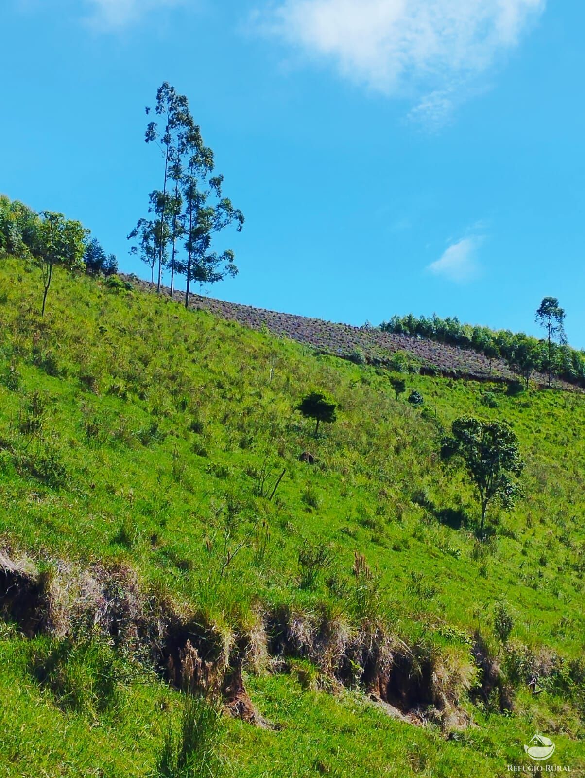 Fazenda à venda com 1 quarto, 8397m² - Foto 3