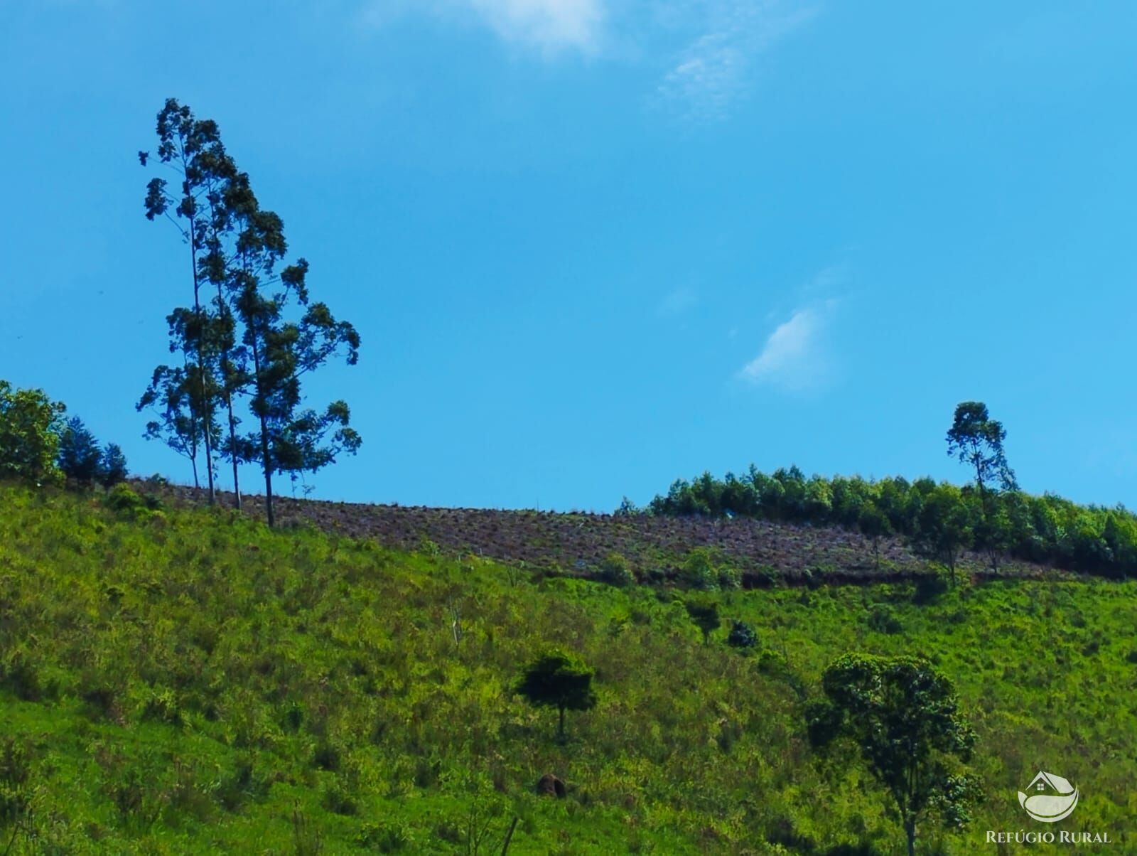 Fazenda à venda com 1 quarto, 8397m² - Foto 4