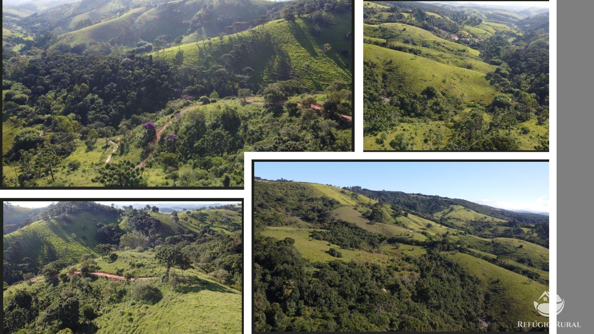 Sítio à venda com 1 quarto, 268620000m² - Foto 3