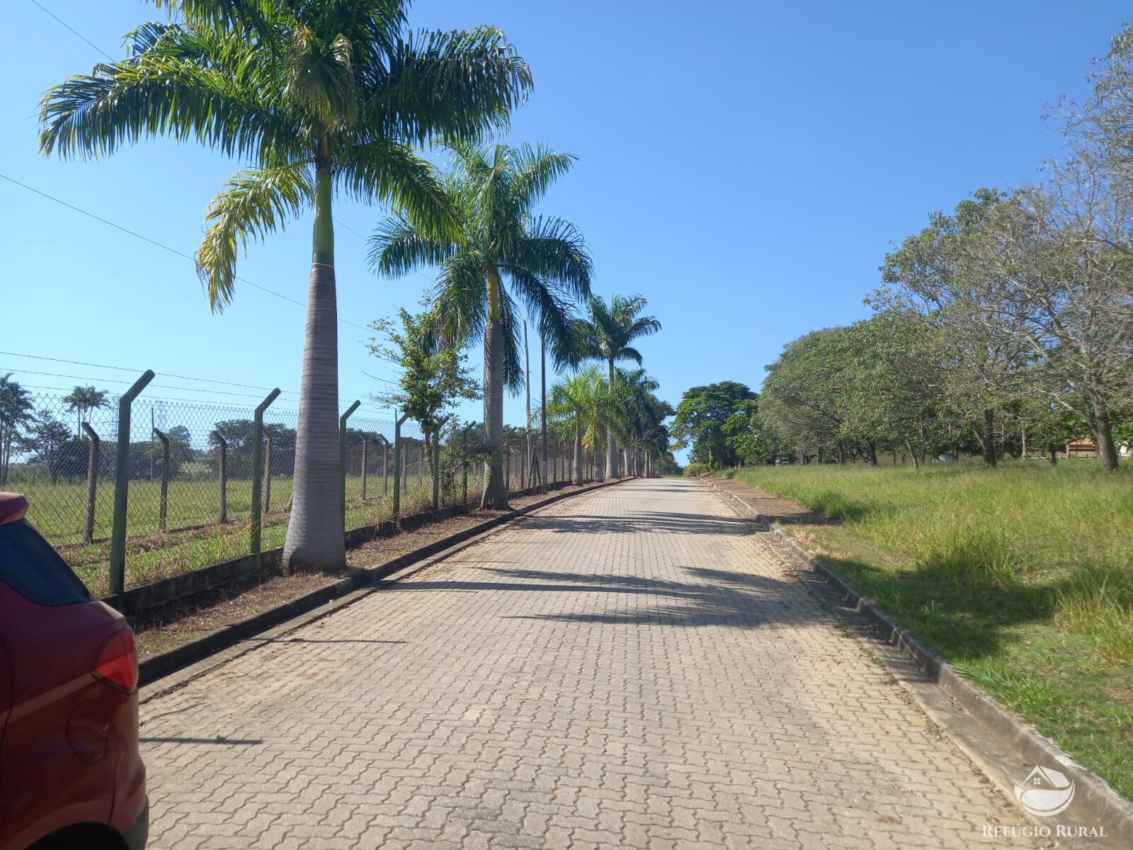 Fazenda à venda com 1 quarto, 96000m² - Foto 27