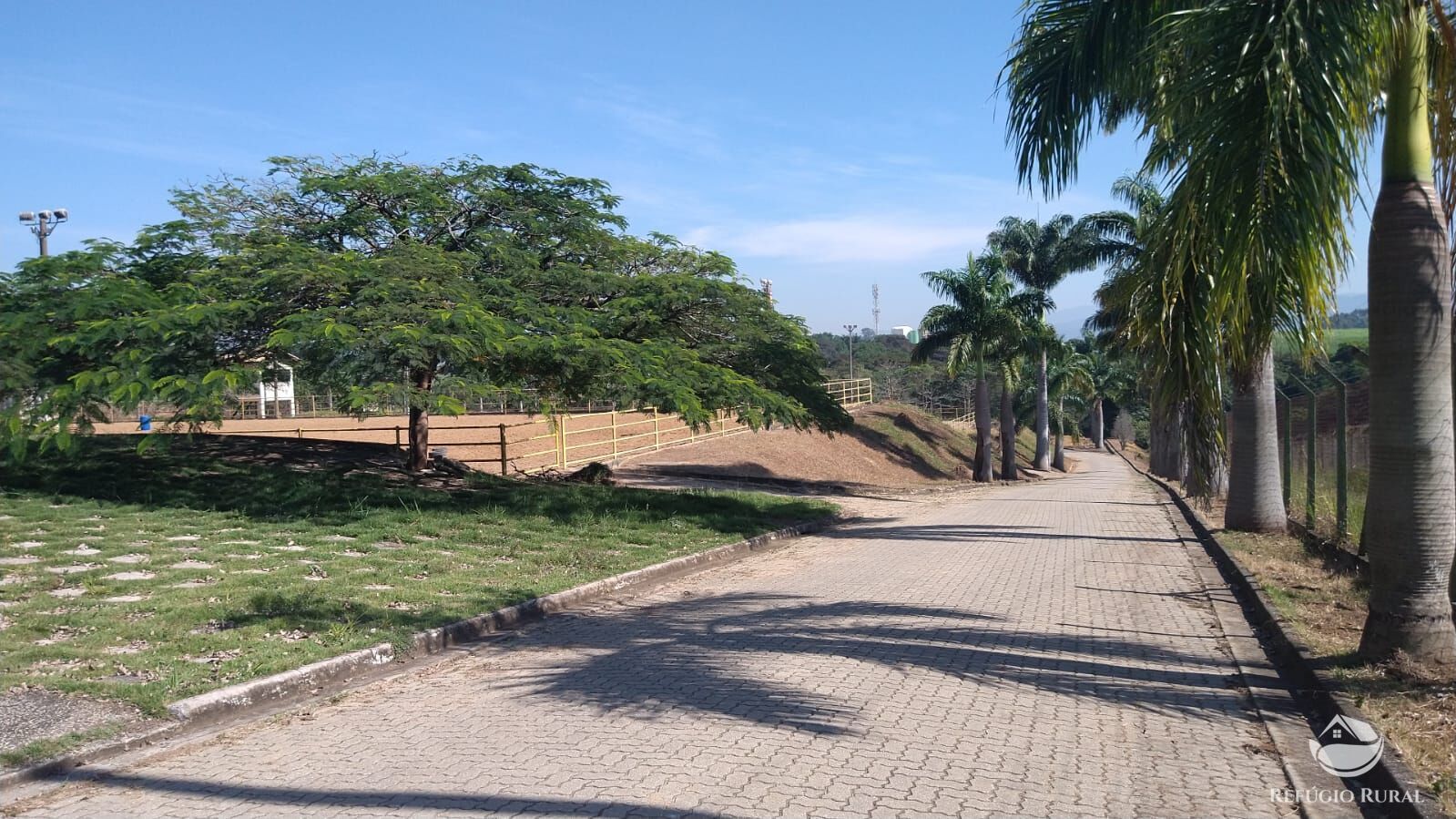 Fazenda à venda com 1 quarto, 96000m² - Foto 6