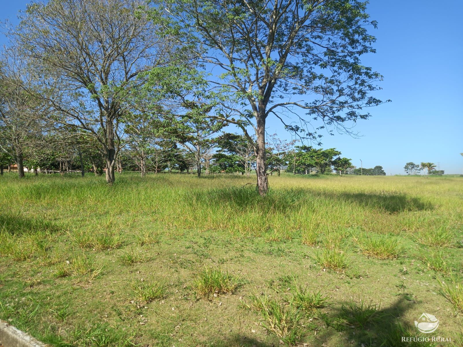 Fazenda à venda com 1 quarto, 96000m² - Foto 26