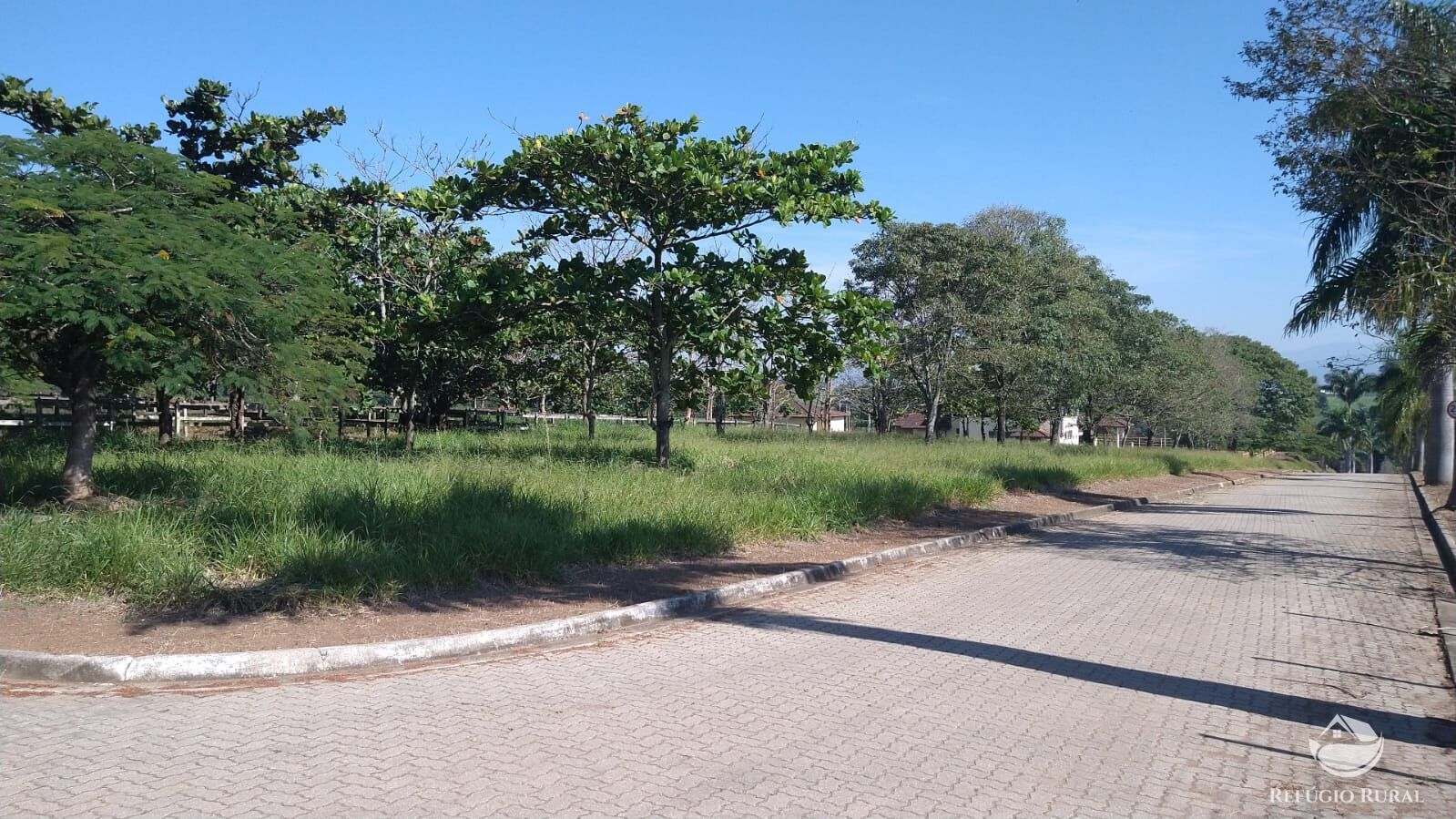 Fazenda à venda com 1 quarto, 96000m² - Foto 15