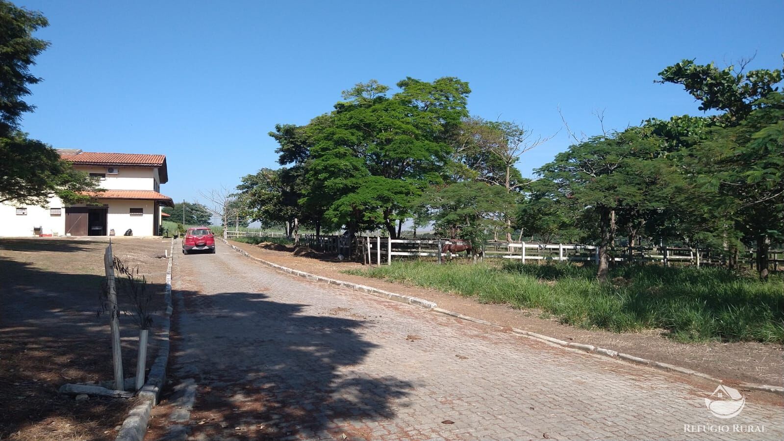 Fazenda à venda com 1 quarto, 96000m² - Foto 14