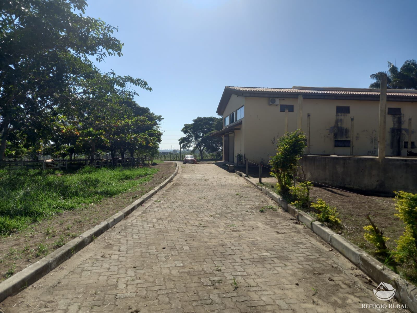 Fazenda à venda com 1 quarto, 96000m² - Foto 39